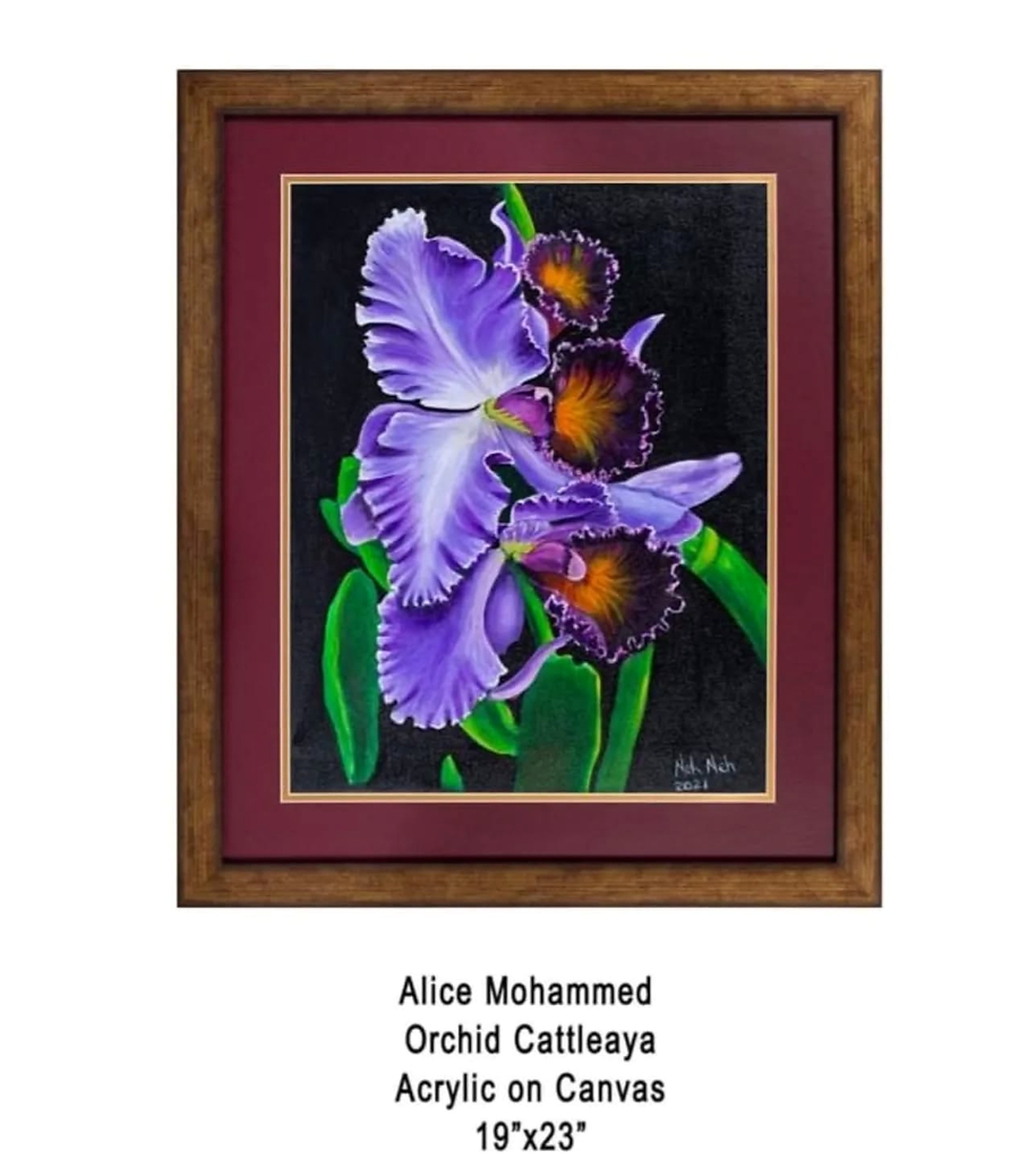 Orchid Cattleya acrylic artwork by Alice Mohammed